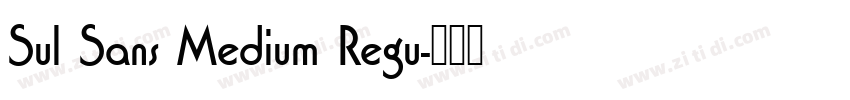 Sul Sans Medium Regu字体转换